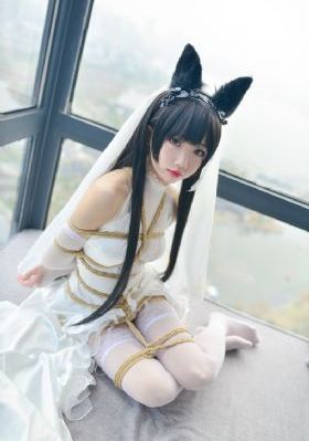 在线播放成人片_HD免费高清观看